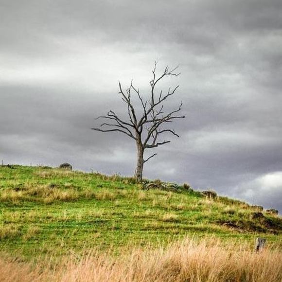 Meet your Posher, Karl - Picture 1 of 1